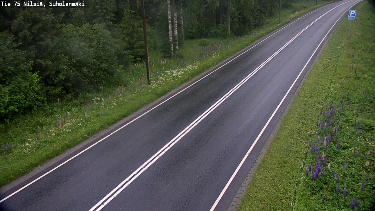 Weather Camera Image Road 75 Nilsiä, Suholanmäki, Kuopio, Pohjois-Savo