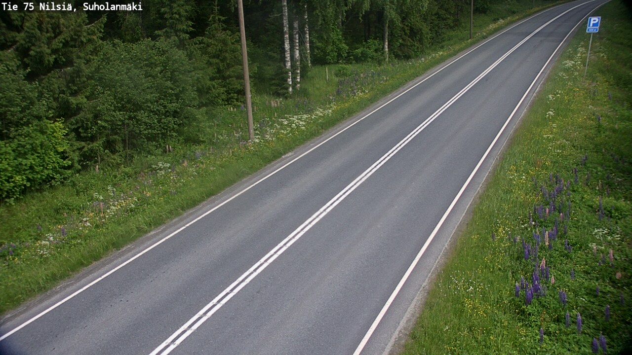 Kelikamerat Kuva Tie 75 Nilsiä, Suholanmäki, Kuopio, Pohjois-Savo