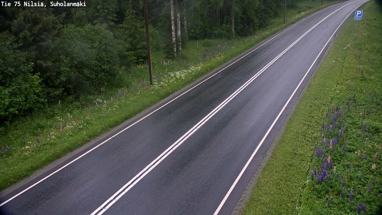 Weather Camera Image Road 75 Nilsiä, Suholanmäki, Kuopio, Pohjois-Savo