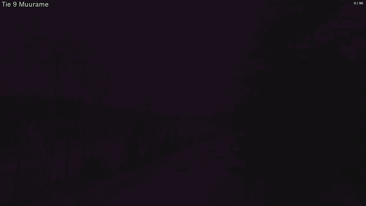 Kelikamerat Kuva Tie 9 Muurame, Muurame, Keski-Suomi