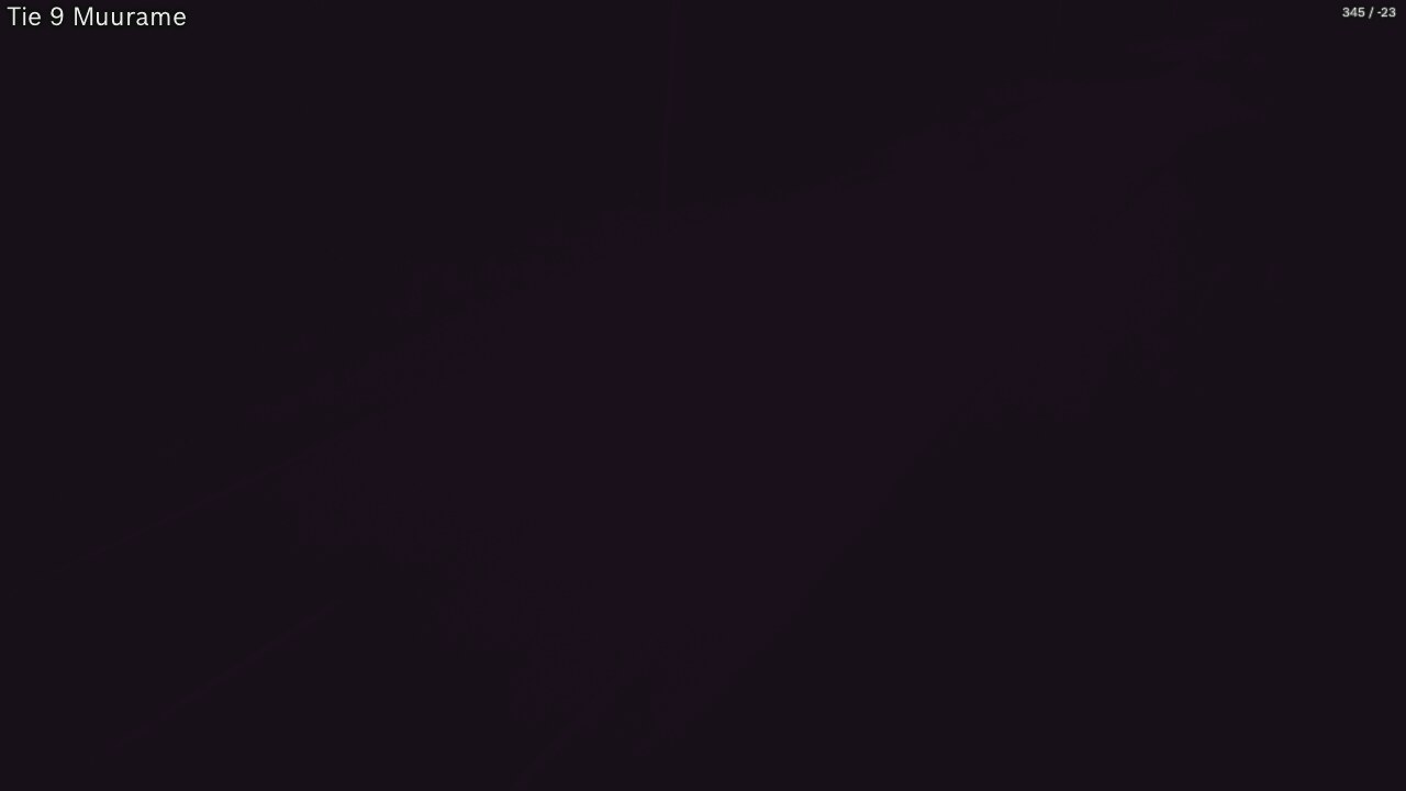 Kelikamerat Kuva Tie 9 Muurame, Muurame, Keski-Suomi