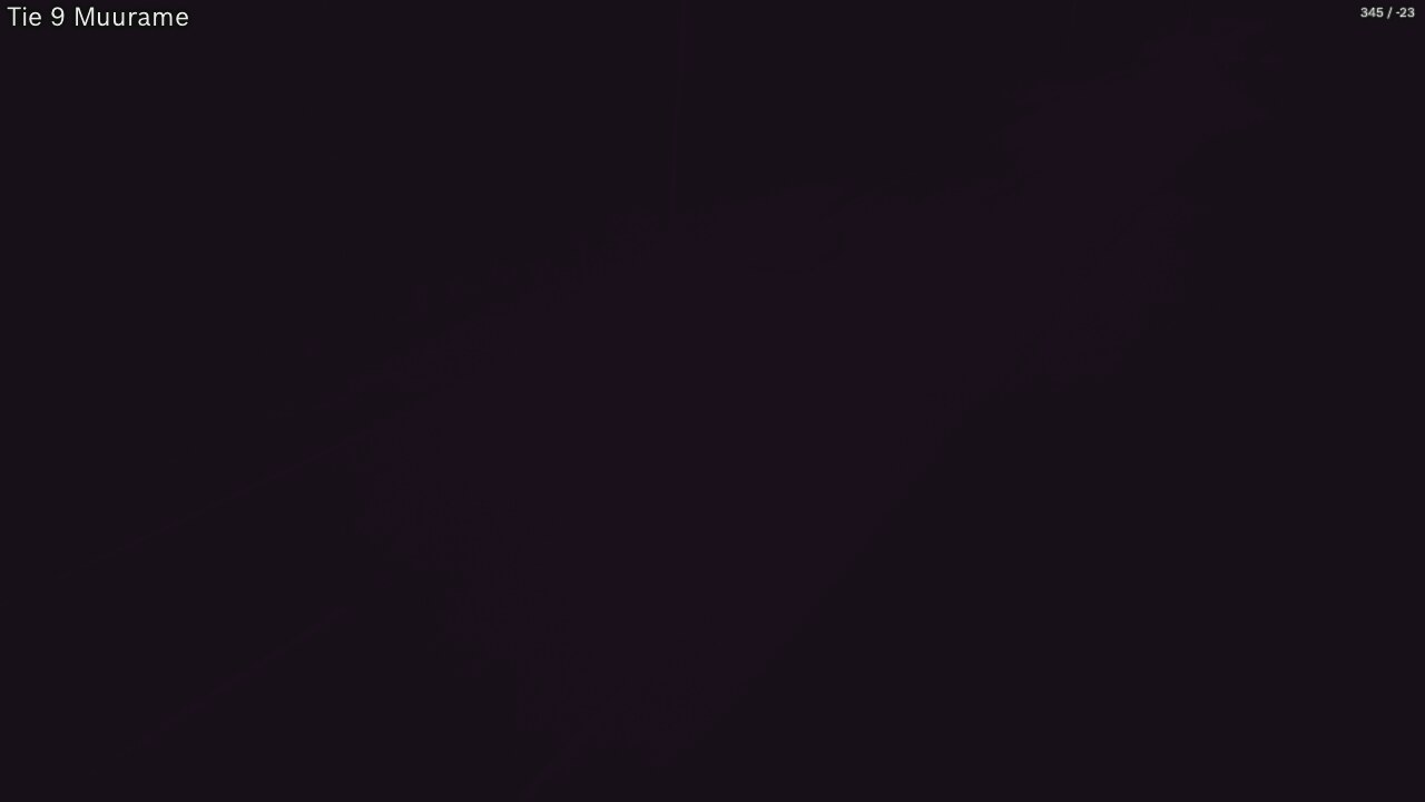 Kelikamerat Kuva Tie 9 Muurame, Muurame, Keski-Suomi