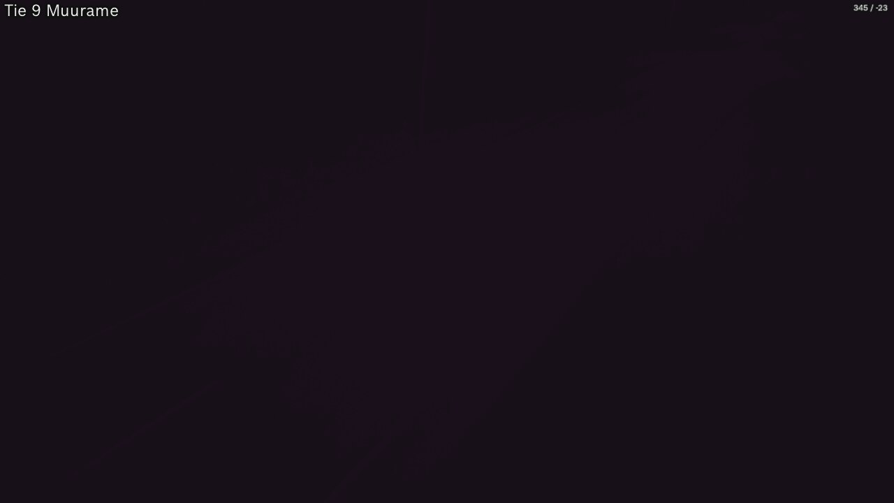 Kelikamerat Kuva Tie 9 Muurame, Muurame, Keski-Suomi