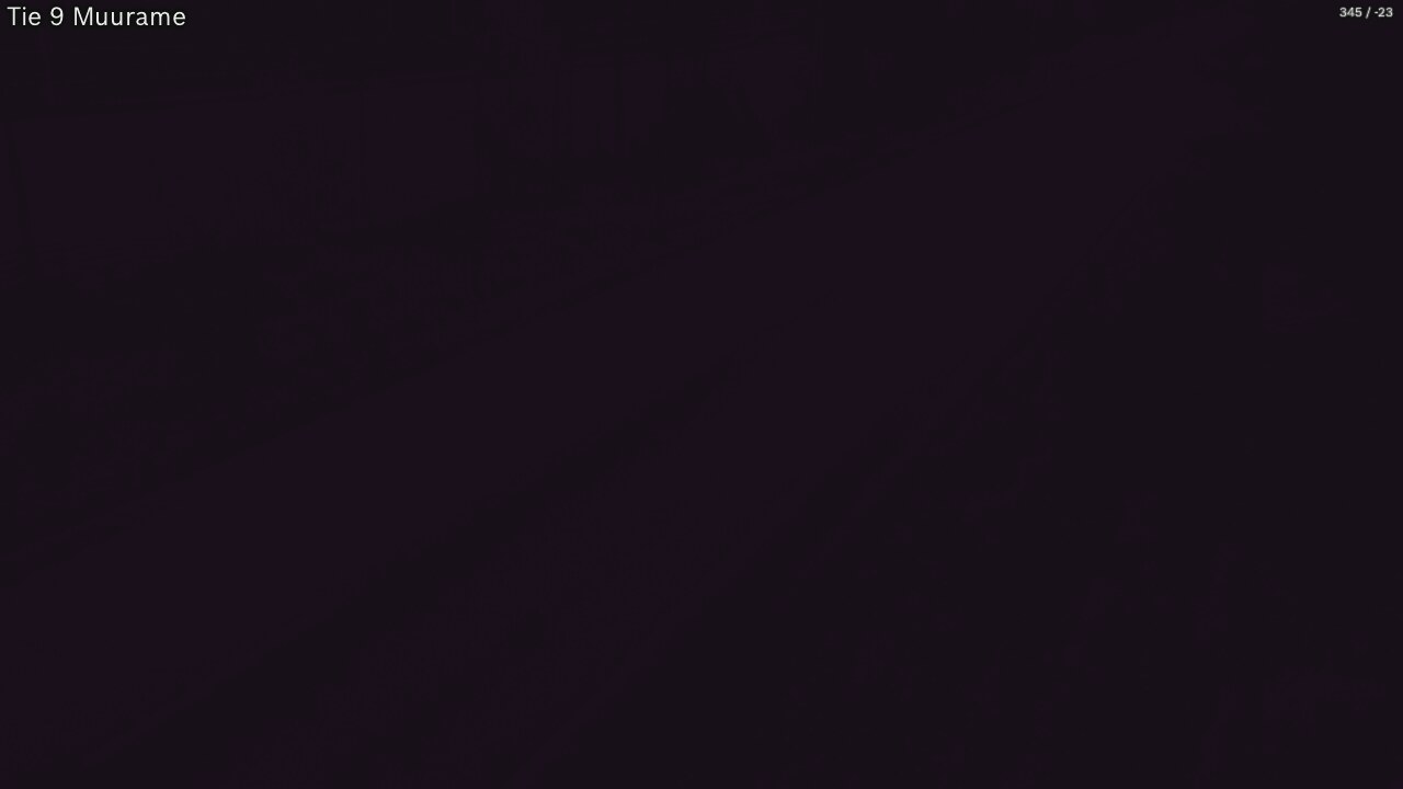 Kelikamerat Kuva Tie 9 Muurame, Muurame, Keski-Suomi