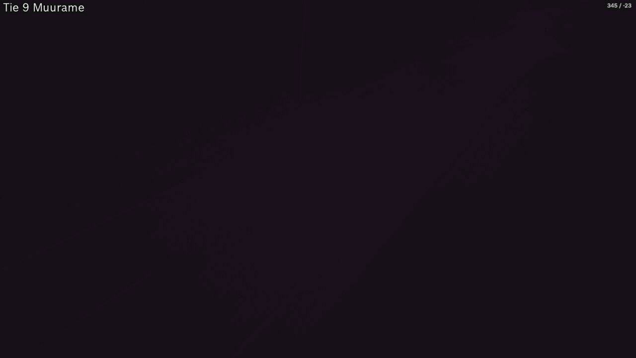 Kelikamerat Kuva Tie 9 Muurame, Muurame, Keski-Suomi