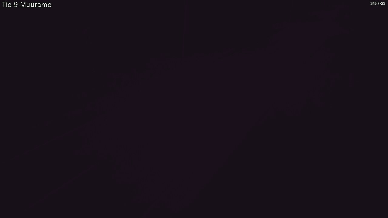 Kelikamerat Kuva Tie 9 Muurame, Muurame, Keski-Suomi