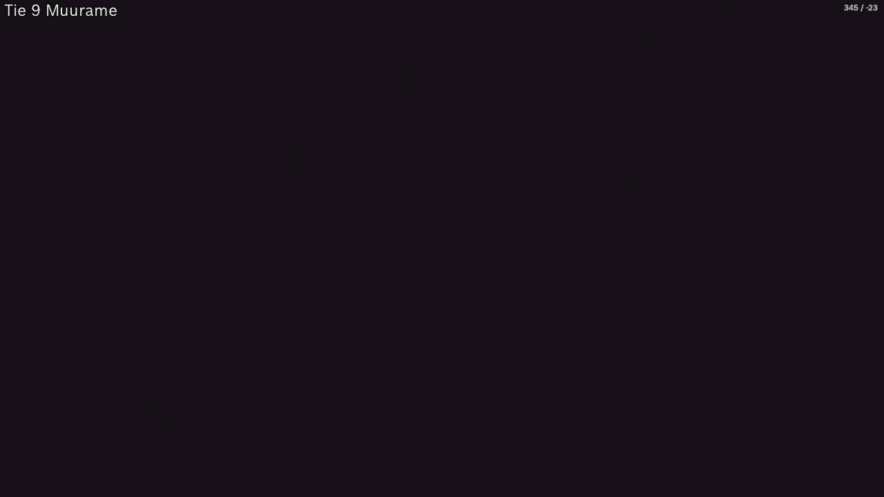 Kelikamerat Kuva Tie 9 Muurame, Muurame, Keski-Suomi