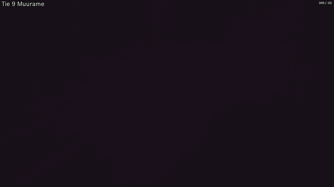 Kelikamerat Kuva Tie 9 Muurame, Muurame, Keski-Suomi