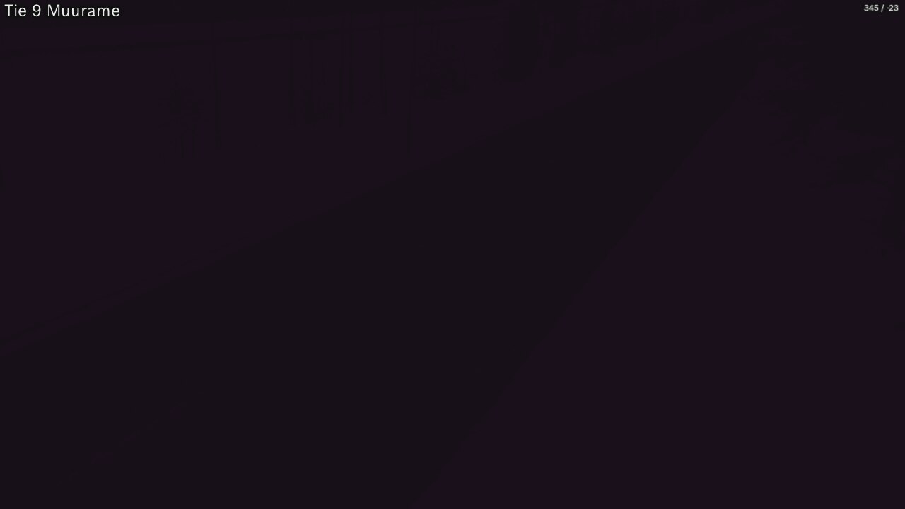 Kelikamerat Kuva Tie 9 Muurame, Muurame, Keski-Suomi