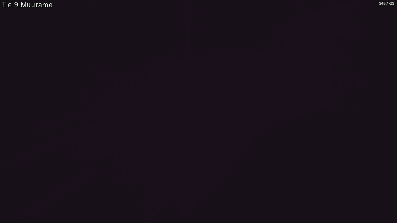 Kelikamerat Kuva Tie 9 Muurame, Muurame, Keski-Suomi