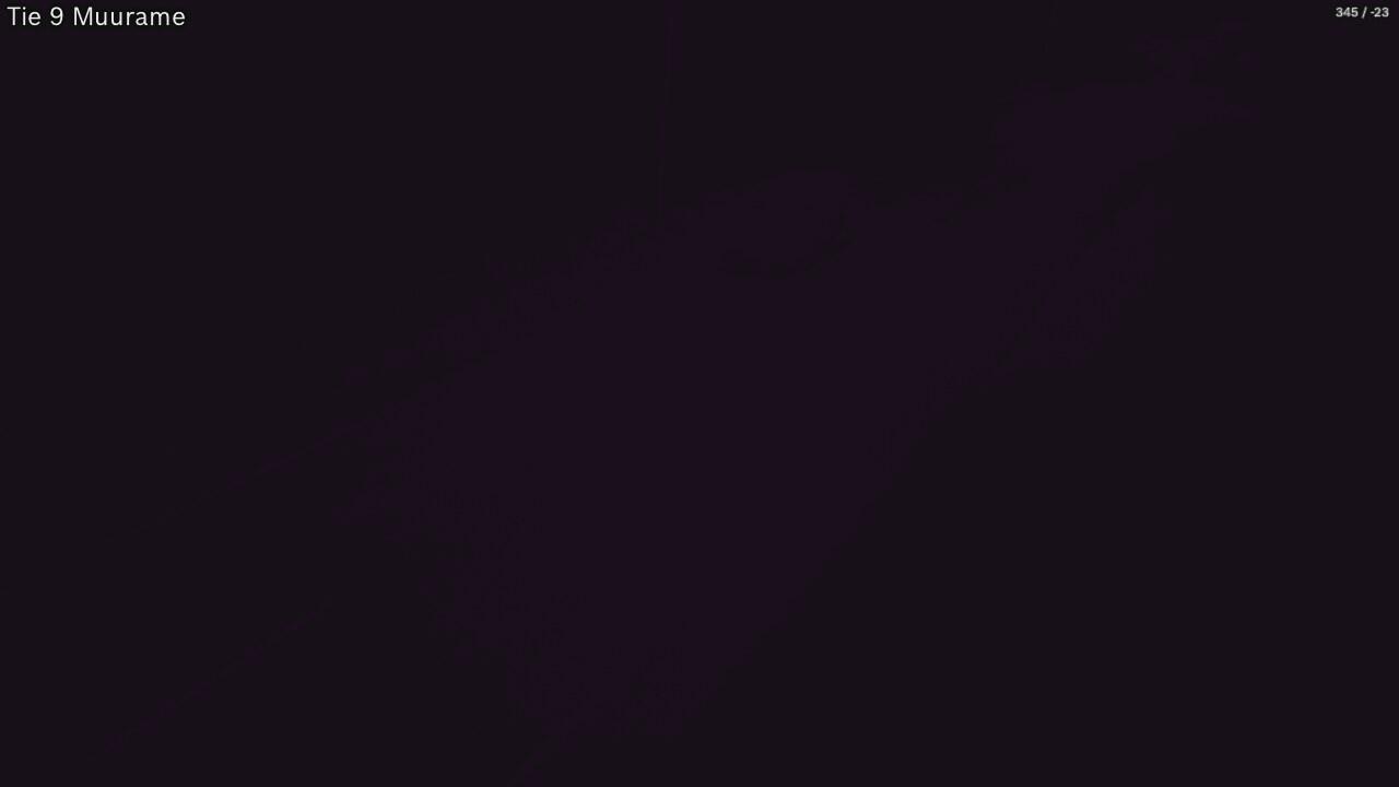 Kelikamerat Kuva Tie 9 Muurame, Muurame, Keski-Suomi