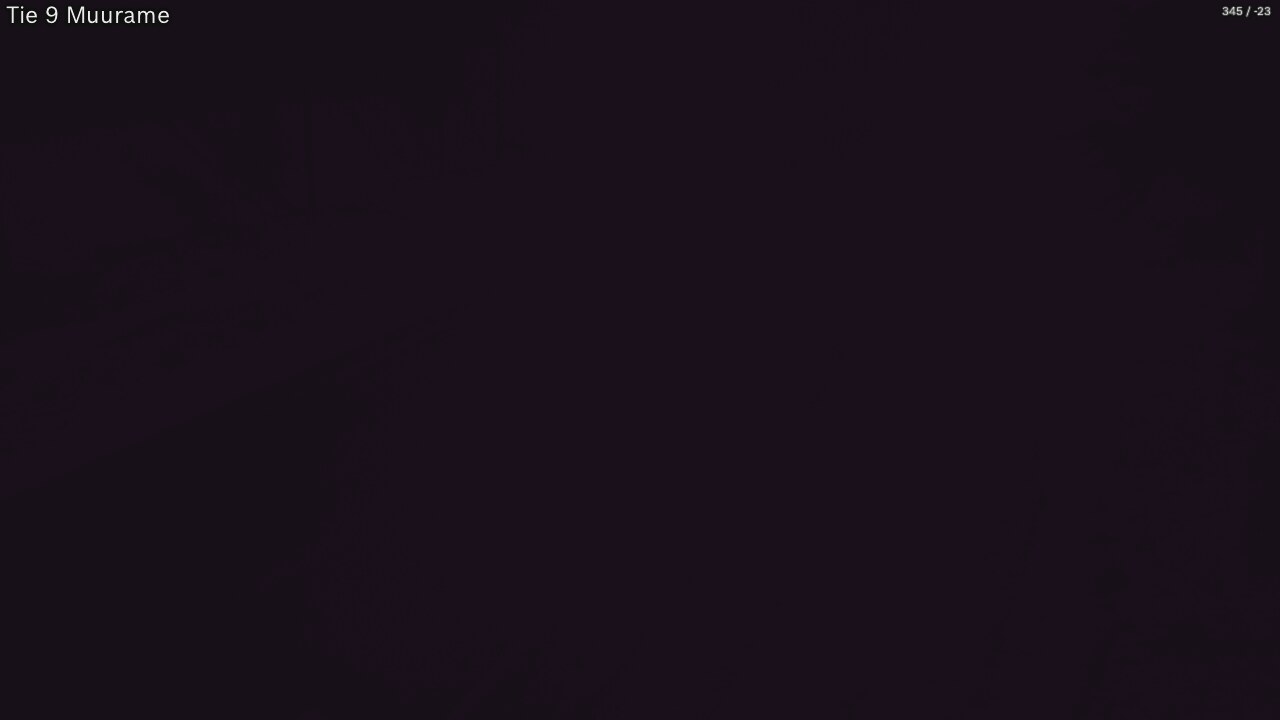 Kelikamerat Kuva Tie 9 Muurame, Muurame, Keski-Suomi