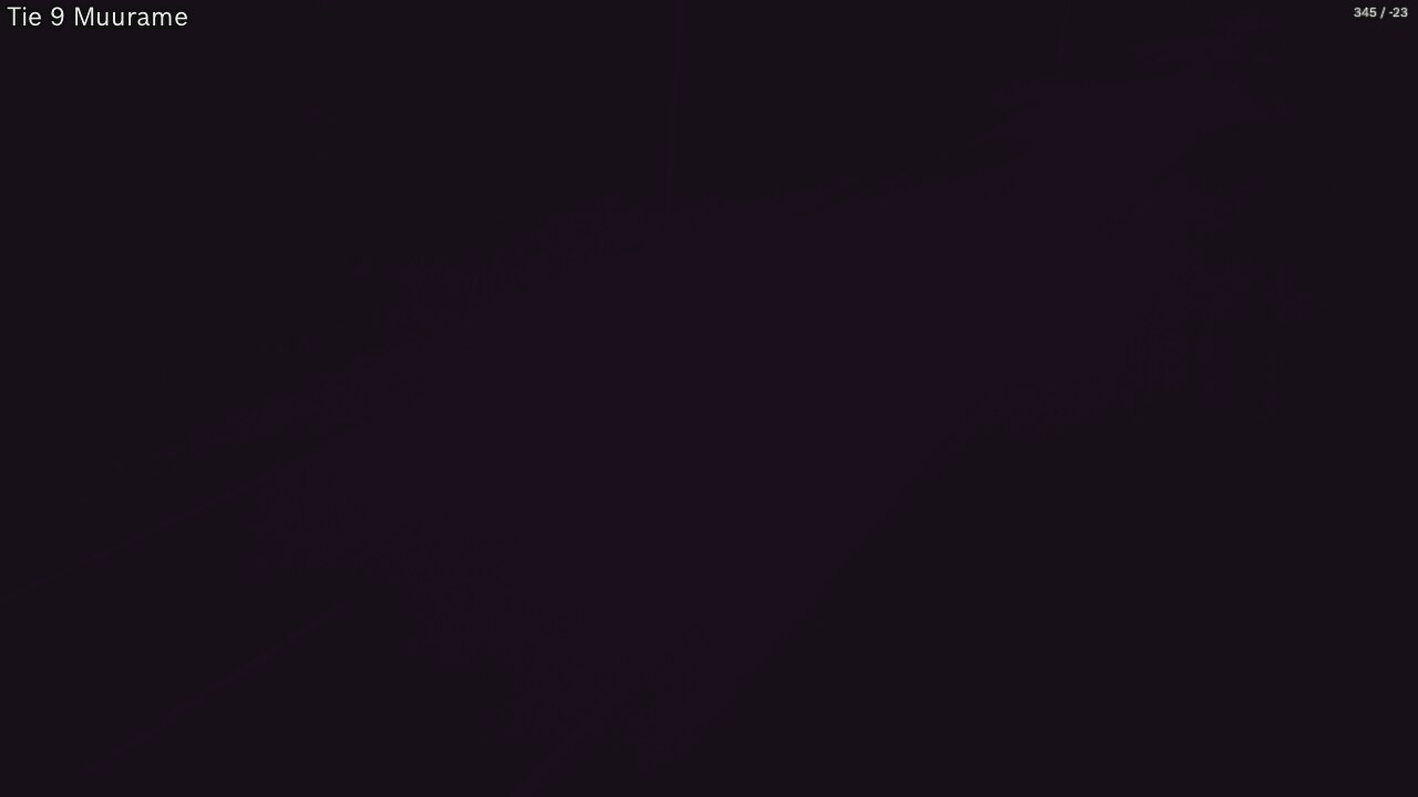 Kelikamerat Kuva Tie 9 Muurame, Muurame, Keski-Suomi