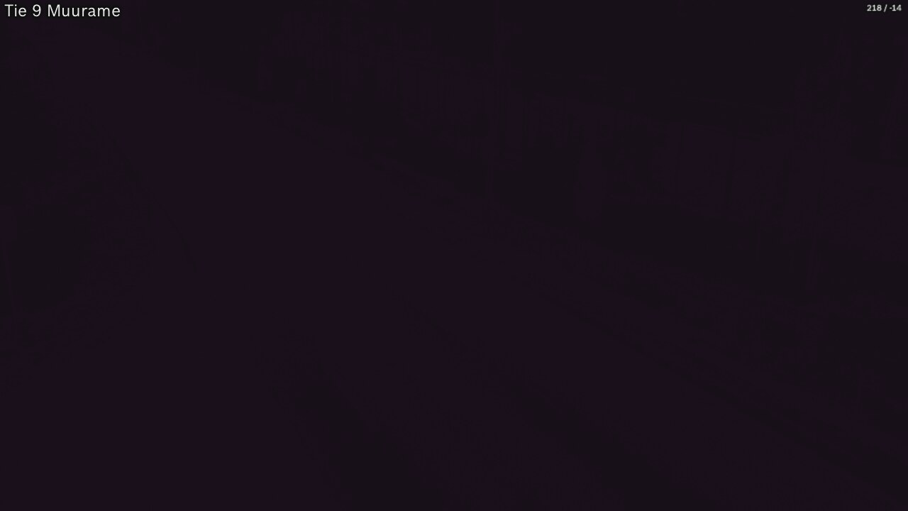 Kelikamerat Kuva Tie 9 Muurame, Muurame, Keski-Suomi