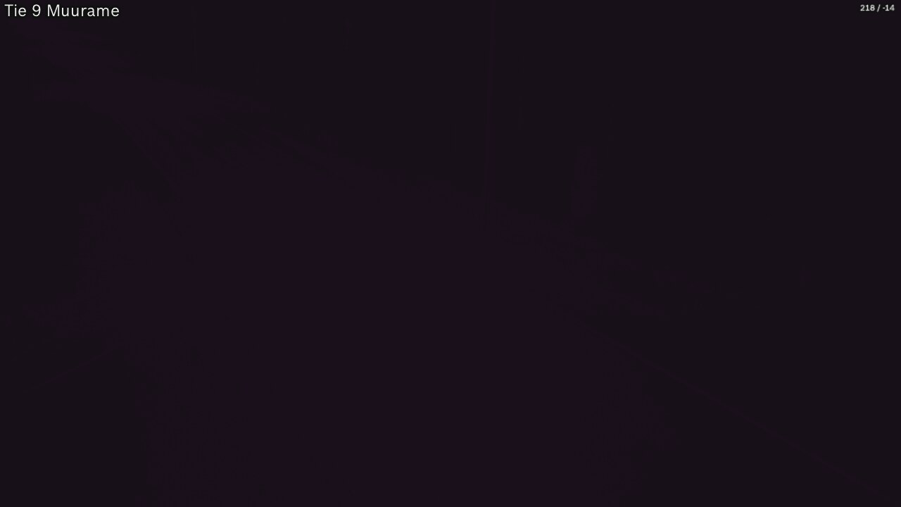 Kelikamerat Kuva Tie 9 Muurame, Muurame, Keski-Suomi