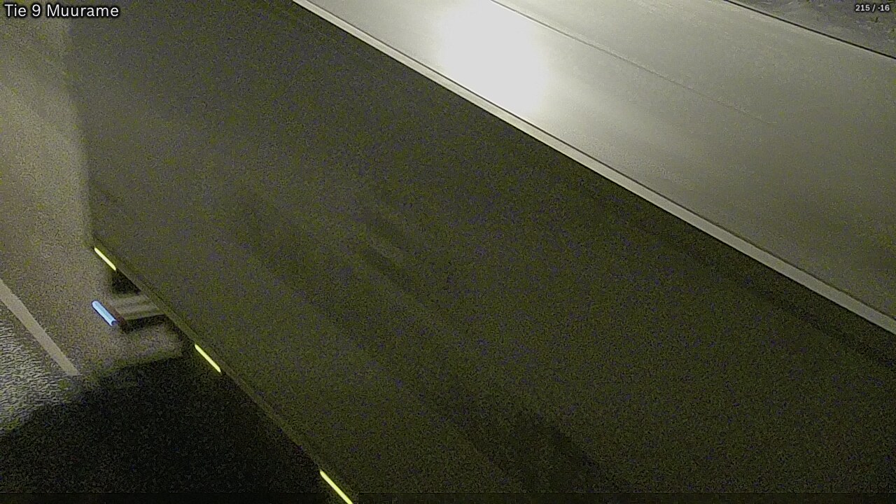 Kelikamerat Kuva Tie 9 Muurame, Muurame, Keski-Suomi