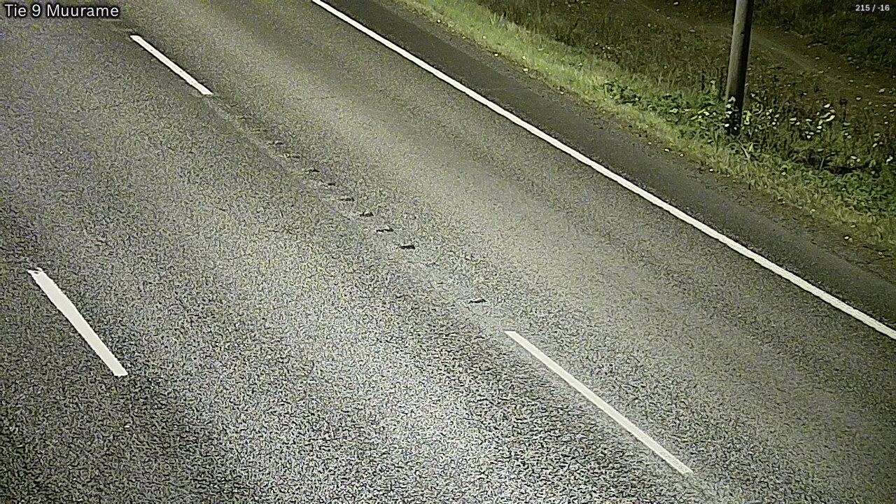 Kelikamerat Kuva Tie 9 Muurame, Muurame, Keski-Suomi