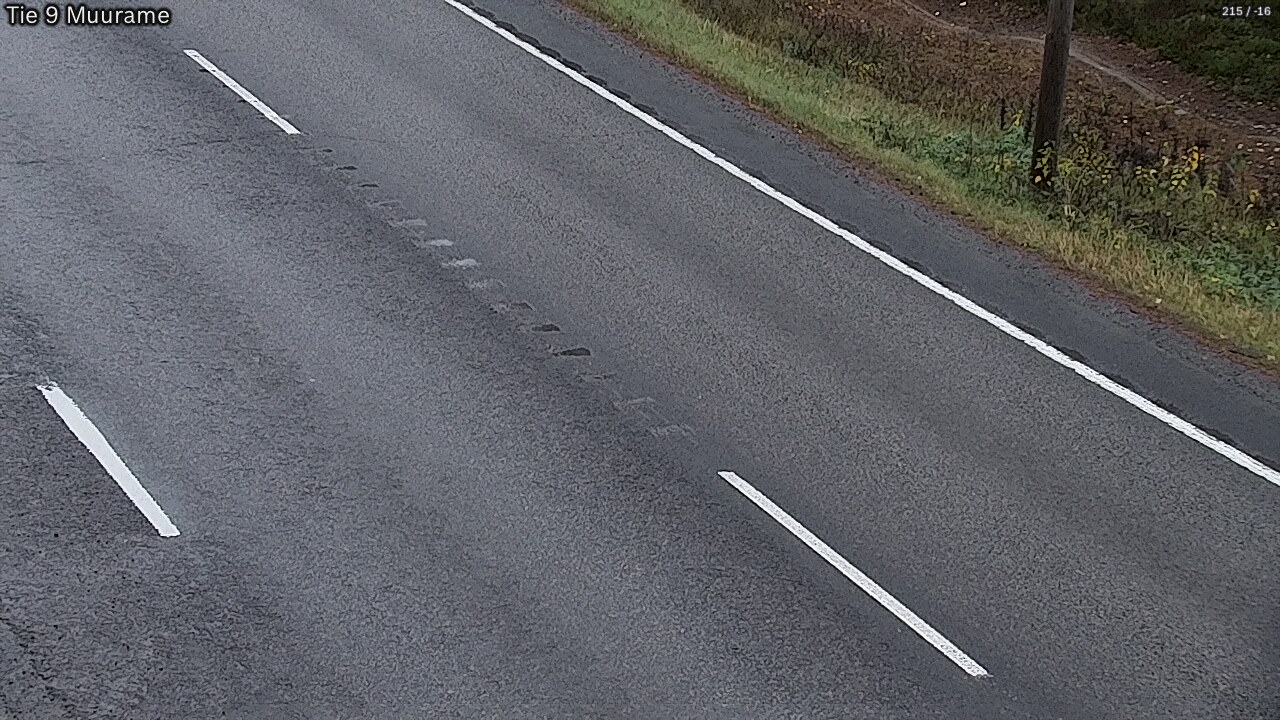 Kelikamerat Kuva Tie 9 Muurame, Muurame, Keski-Suomi