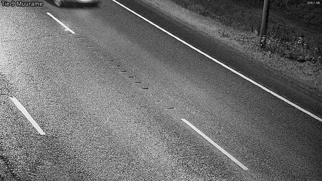 Kelikamerat Kuva Tie 9 Muurame, Muurame, Keski-Suomi