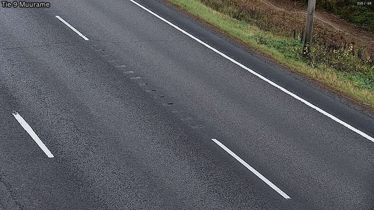 Kelikamerat Kuva Tie 9 Muurame, Muurame, Keski-Suomi