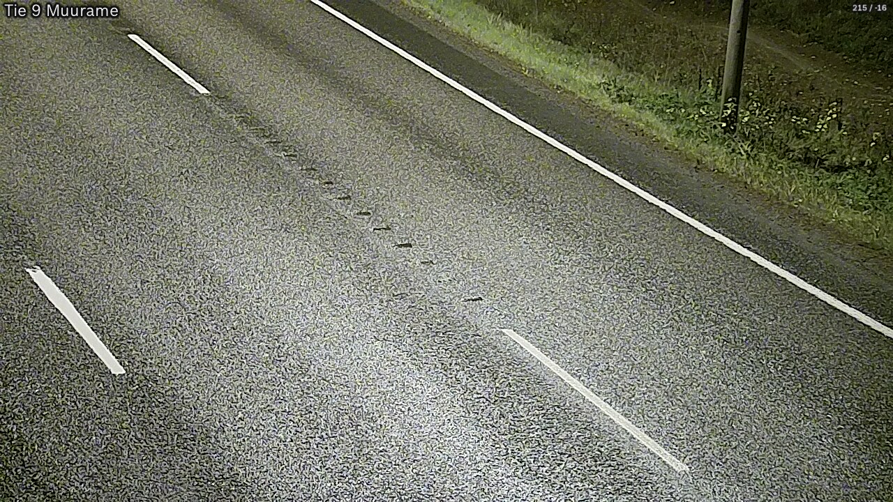Kelikamerat Kuva Tie 9 Muurame, Muurame, Keski-Suomi