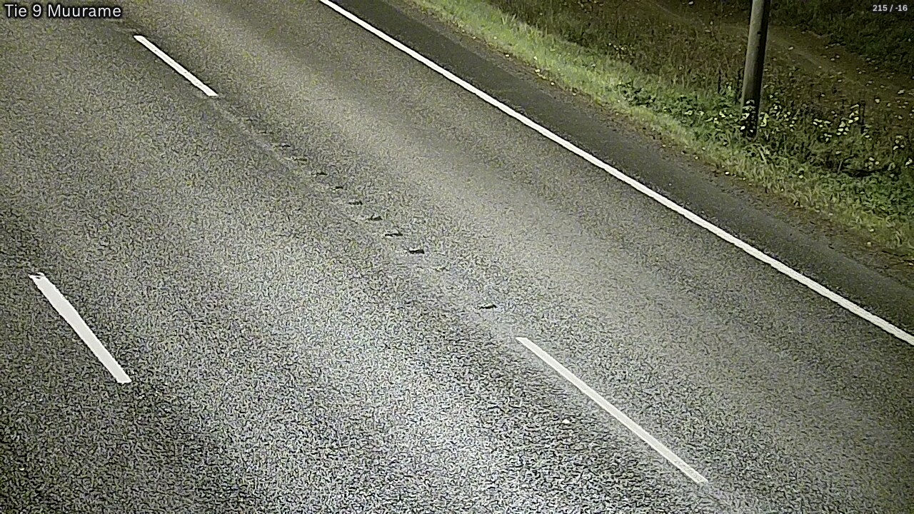 Kelikamerat Kuva Tie 9 Muurame, Muurame, Keski-Suomi