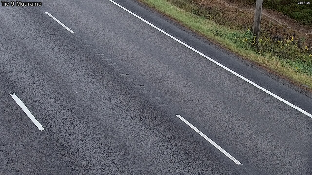 Kelikamerat Kuva Tie 9 Muurame, Muurame, Keski-Suomi