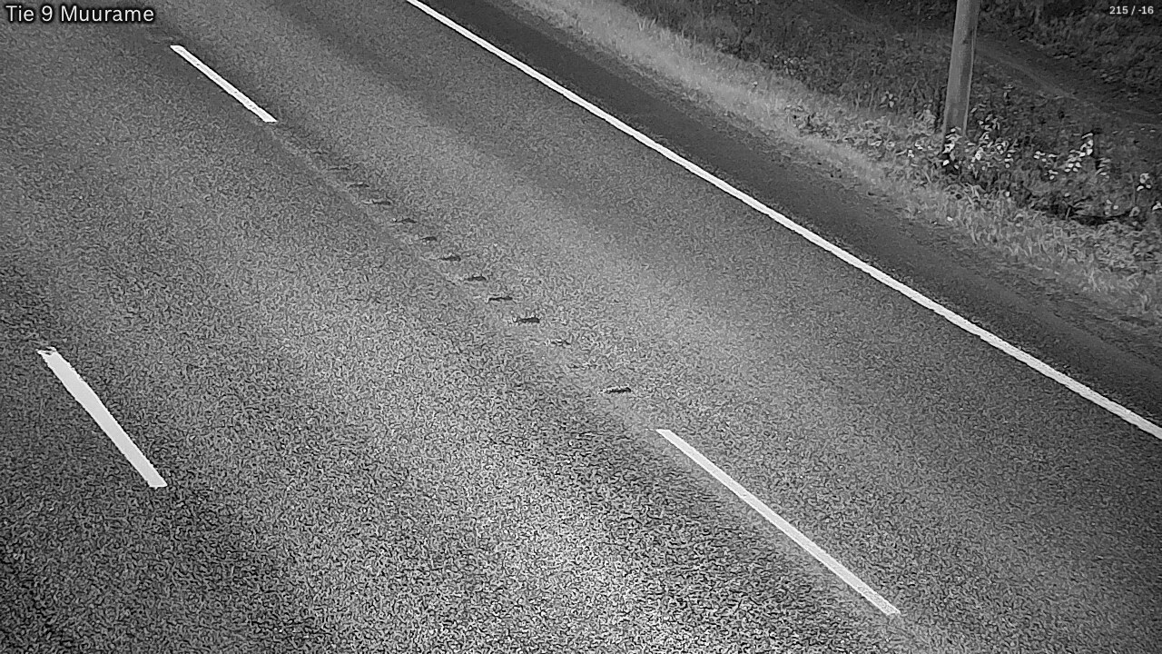 Kelikamerat Kuva Tie 9 Muurame, Muurame, Keski-Suomi