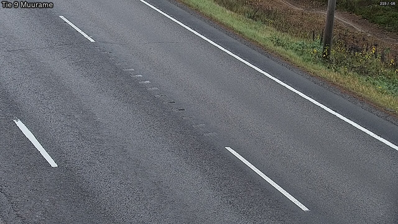 Kelikamerat Kuva Tie 9 Muurame, Muurame, Keski-Suomi