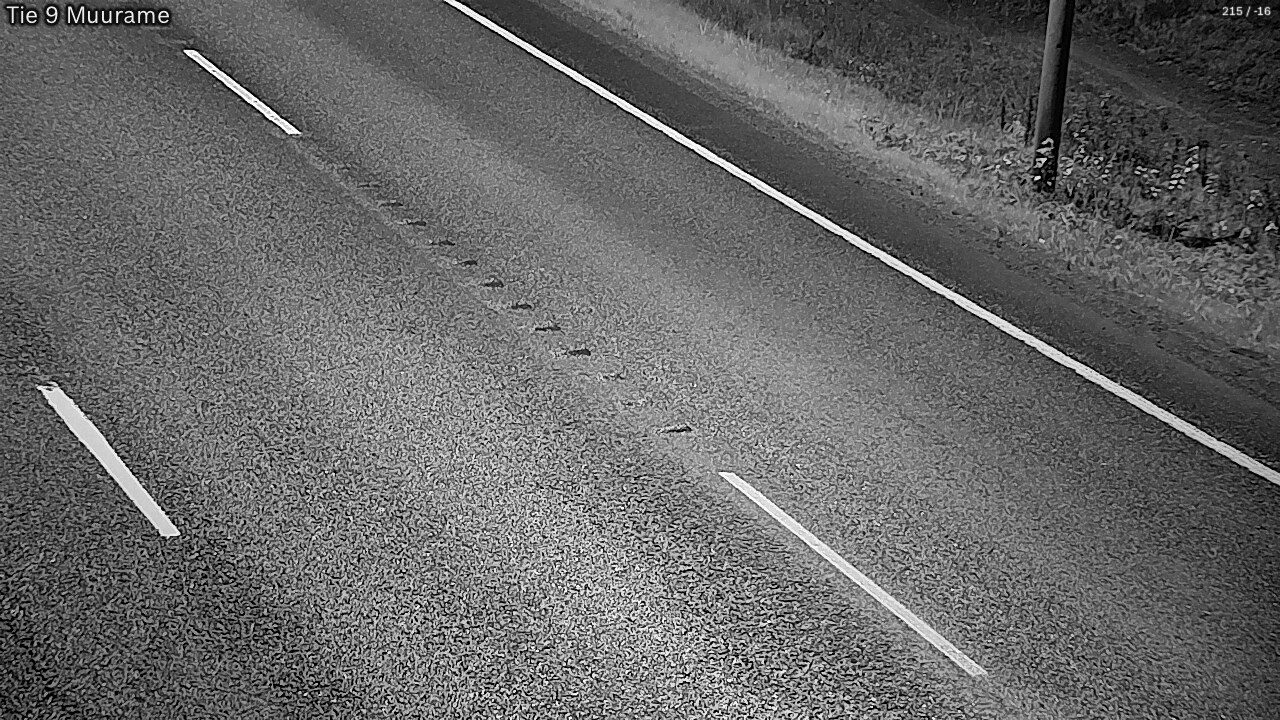 Kelikamerat Kuva Tie 9 Muurame, Muurame, Keski-Suomi