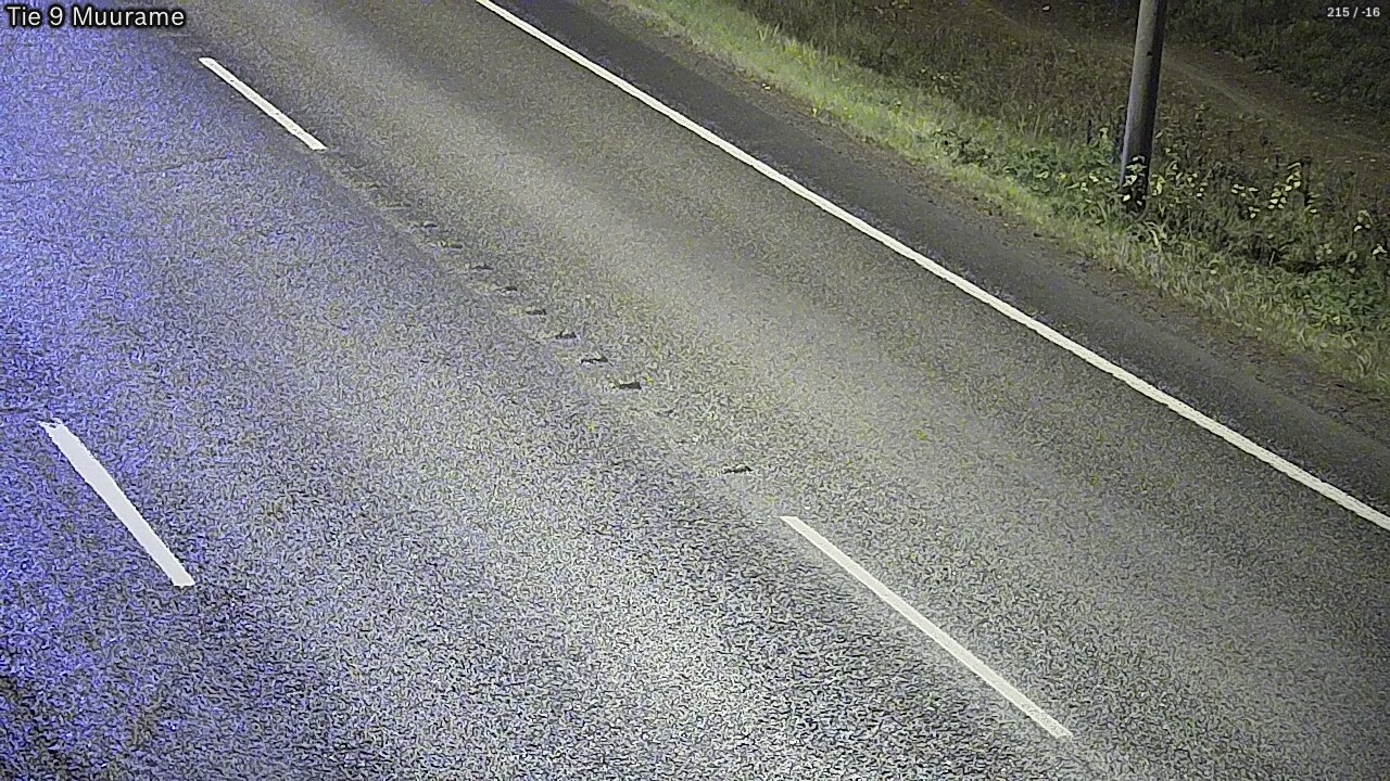 Kelikamerat Kuva Tie 9 Muurame, Muurame, Keski-Suomi