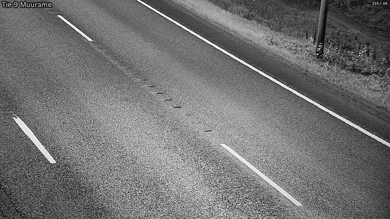 Kelikamerat Kuva Tie 9 Muurame, Muurame, Keski-Suomi