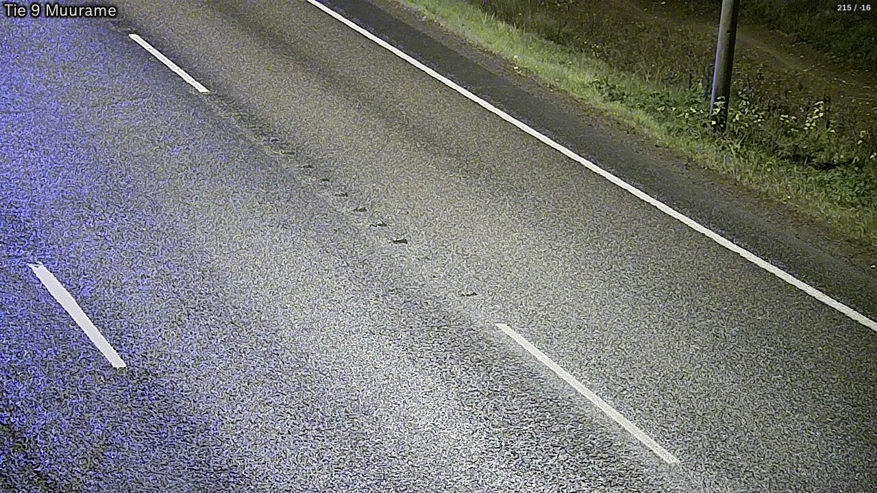 Kelikamerat Kuva Tie 9 Muurame, Muurame, Keski-Suomi