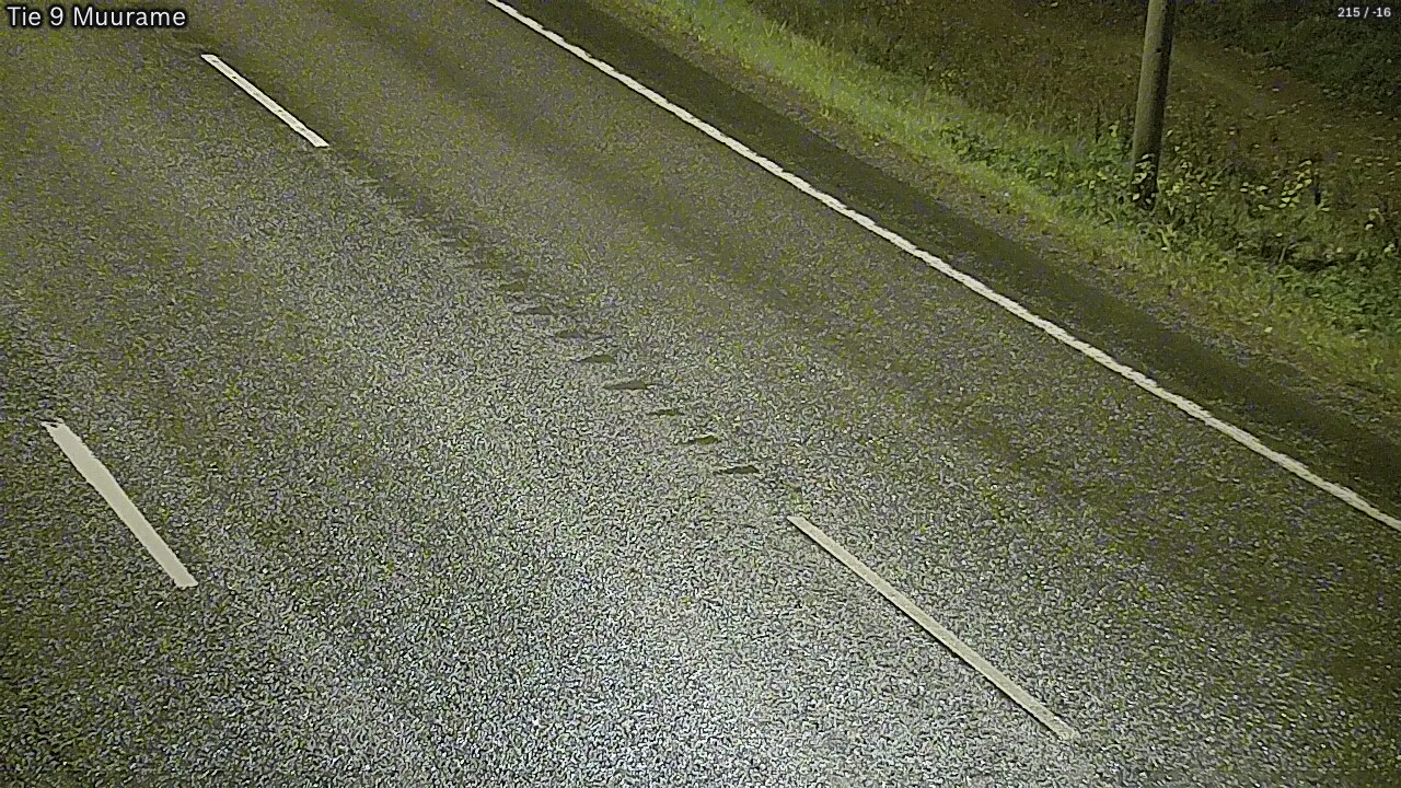 Kelikamerat Kuva Tie 9 Muurame, Muurame, Keski-Suomi