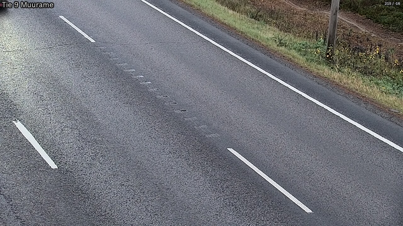 Kelikamerat Kuva Tie 9 Muurame, Muurame, Keski-Suomi