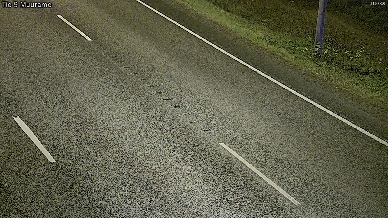 Kelikamerat Kuva Tie 9 Muurame, Muurame, Keski-Suomi