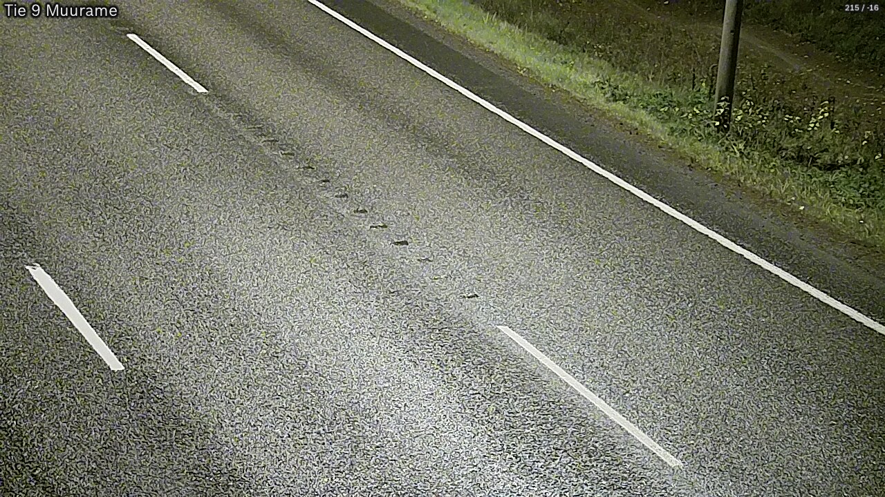 Kelikamerat Kuva Tie 9 Muurame, Muurame, Keski-Suomi