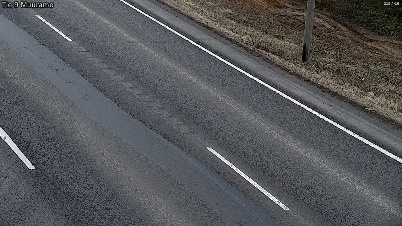 Kelikamerat Kuva Tie 9 Muurame, Muurame, Keski-Suomi