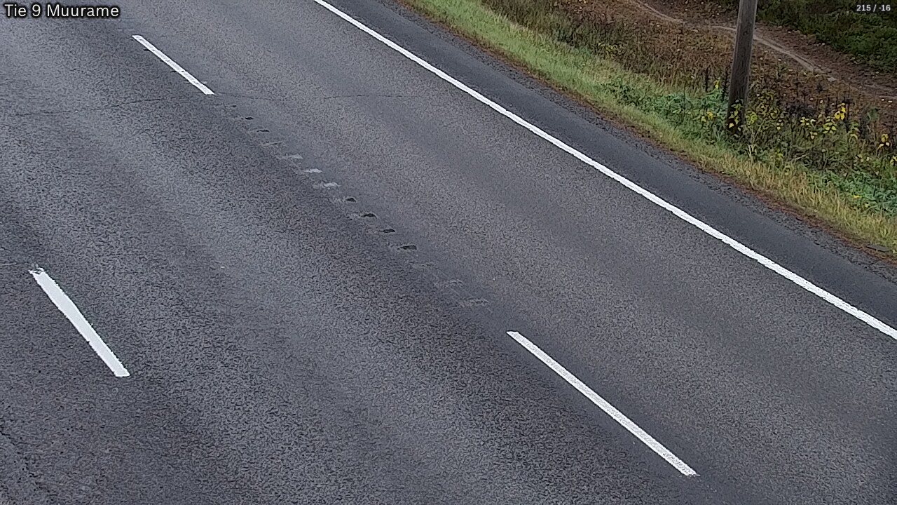 Kelikamerat Kuva Tie 9 Muurame, Muurame, Keski-Suomi