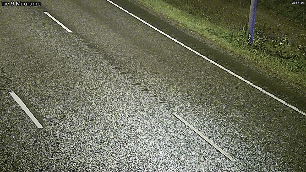 Kelikamerat Kuva Tie 9 Muurame, Muurame, Keski-Suomi