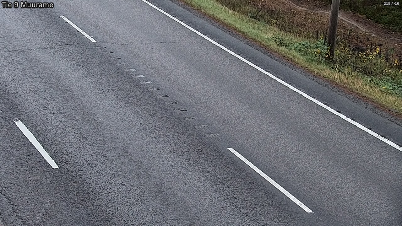 Kelikamerat Kuva Tie 9 Muurame, Muurame, Keski-Suomi