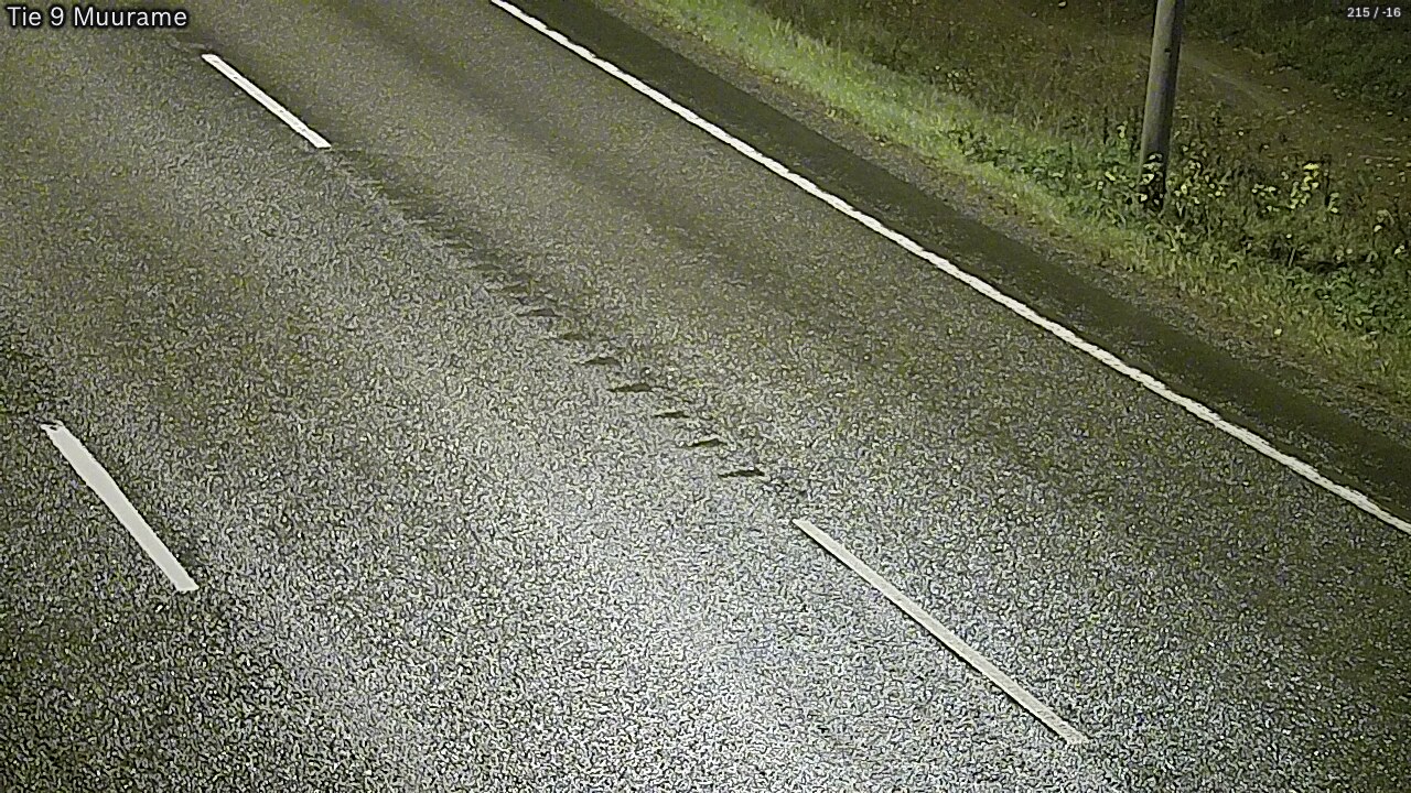 Kelikamerat Kuva Tie 9 Muurame, Muurame, Keski-Suomi