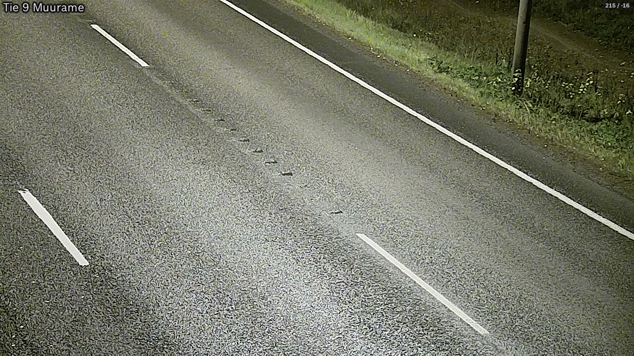 Kelikamerat Kuva Tie 9 Muurame, Muurame, Keski-Suomi