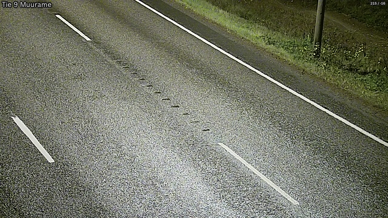 Kelikamerat Kuva Tie 9 Muurame, Muurame, Keski-Suomi