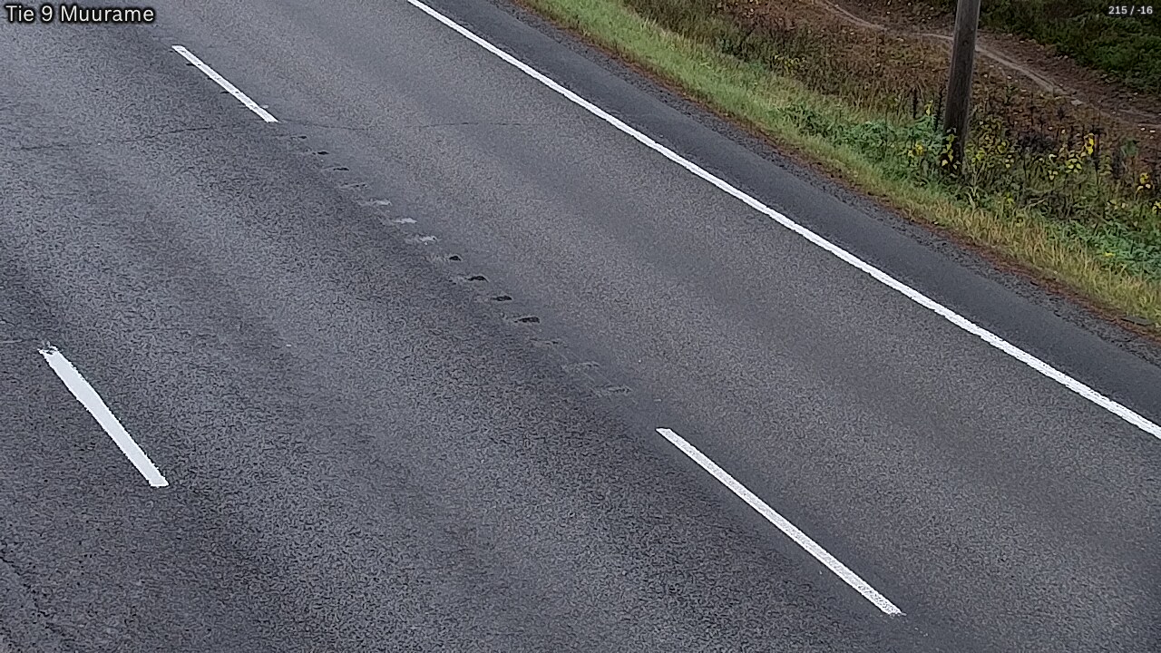 Kelikamerat Kuva Tie 9 Muurame, Muurame, Keski-Suomi