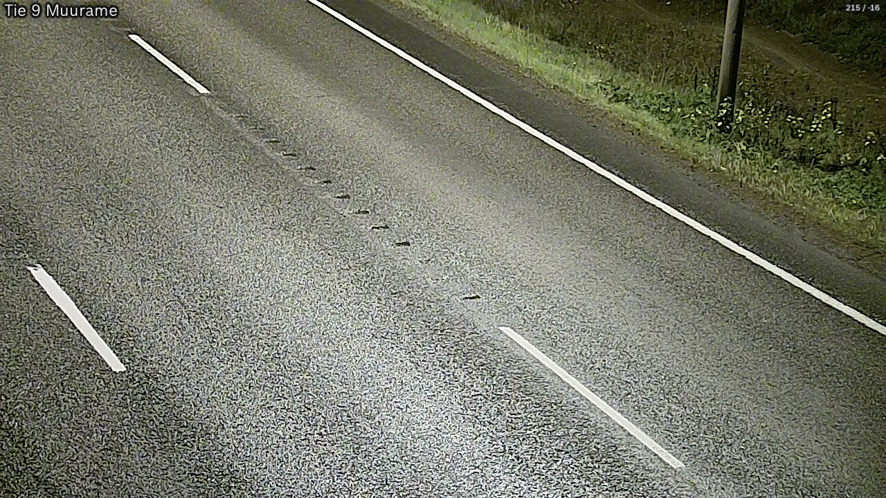 Kelikamerat Kuva Tie 9 Muurame, Muurame, Keski-Suomi