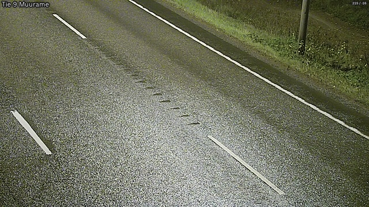 Kelikamerat Kuva Tie 9 Muurame, Muurame, Keski-Suomi