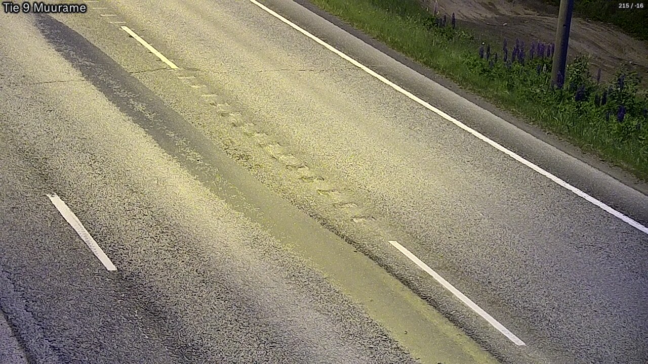 Kelikamerat Kuva Tie 9 Muurame, Muurame, Keski-Suomi