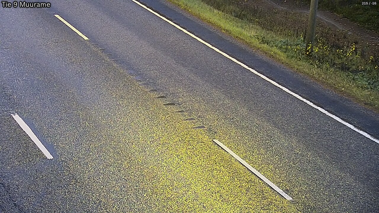 Kelikamerat Kuva Tie 9 Muurame, Muurame, Keski-Suomi