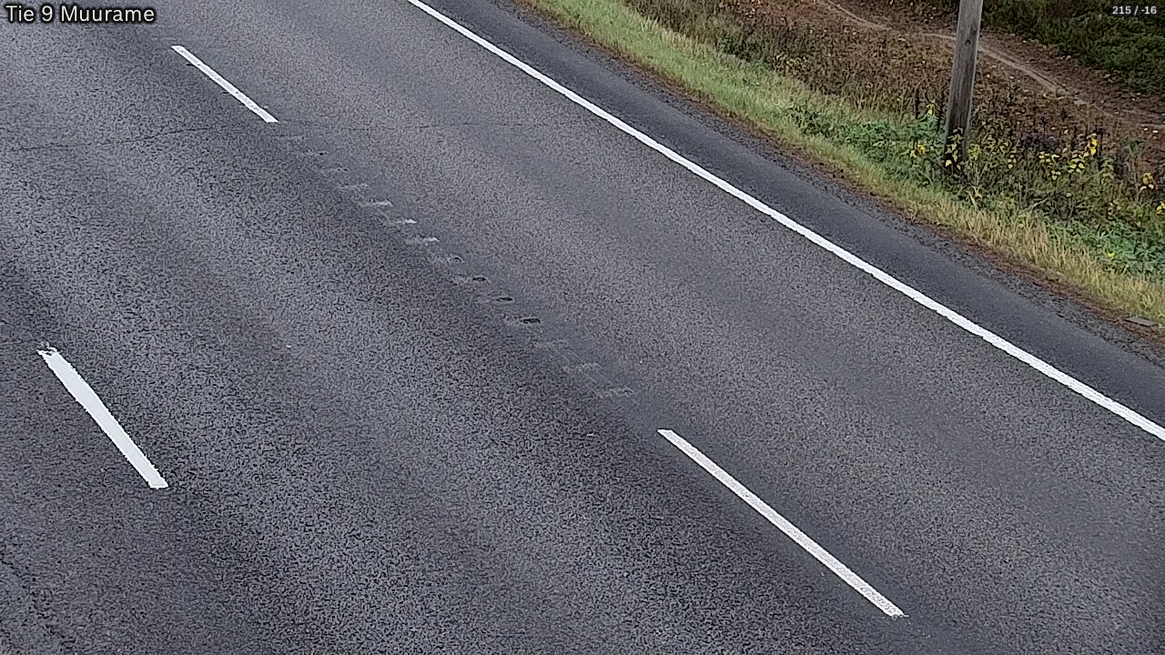 Kelikamerat Kuva Tie 9 Muurame, Muurame, Keski-Suomi
